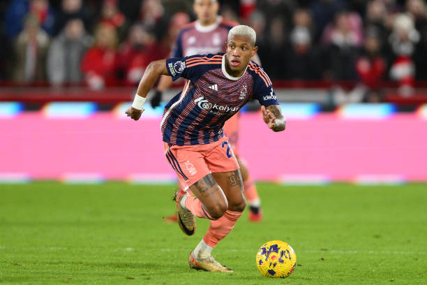 不仅证明了 不仅证明了